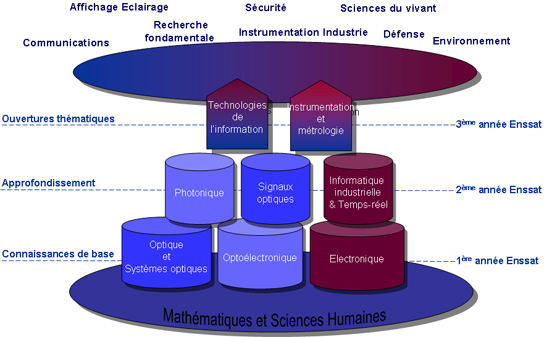 Organisation de la formation OPT