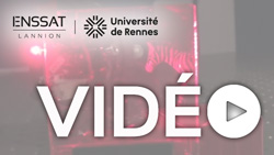 Demo-hologramme-zebre