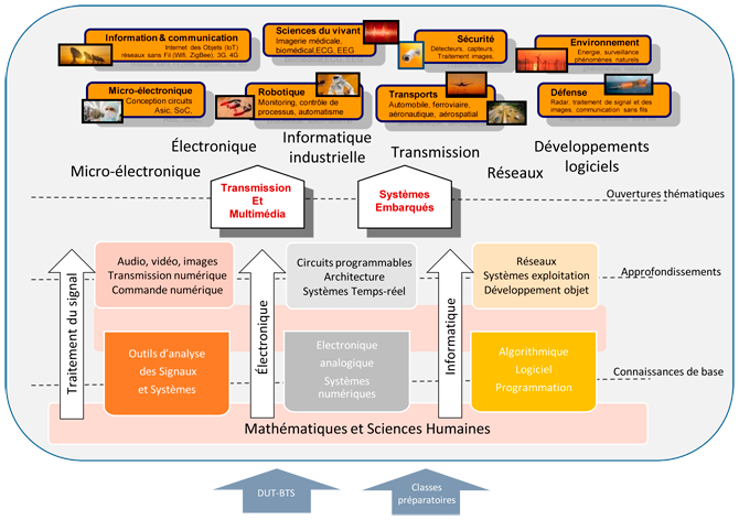 Organisation de la formation Électronique